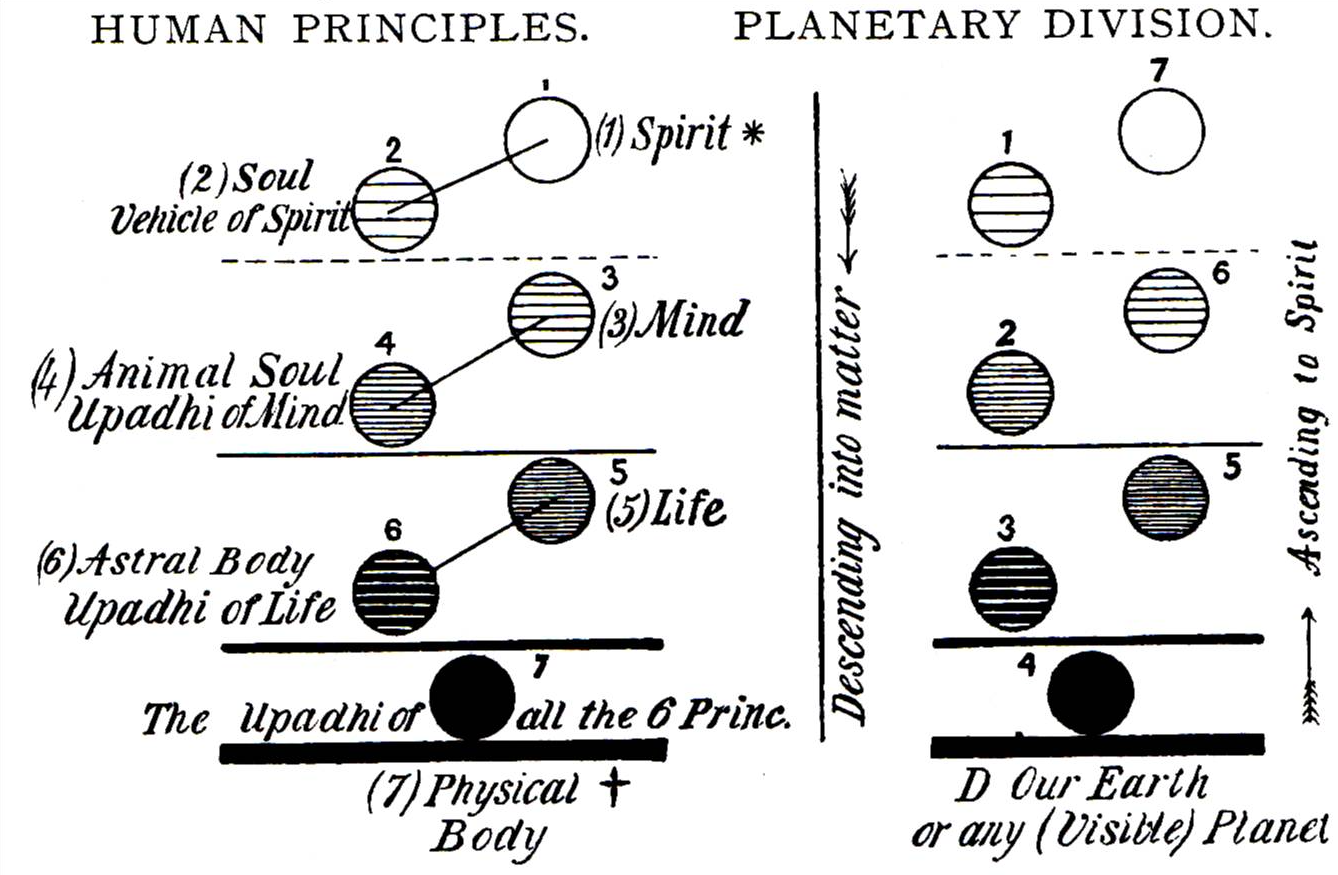 Human and Planetary Principles