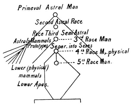 Evolution of Races